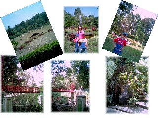 Kebun Raya Bogor